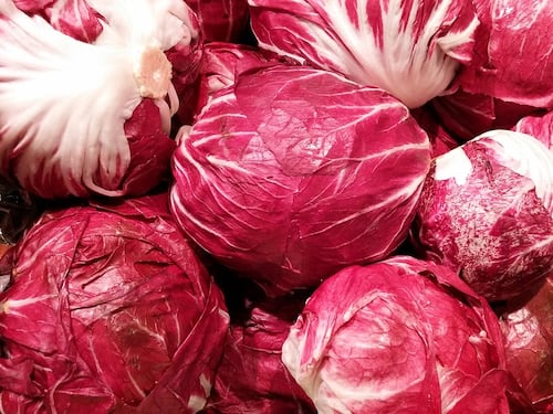 Radicchio: tutti i motivi per cui fa bene al nostro organismo
