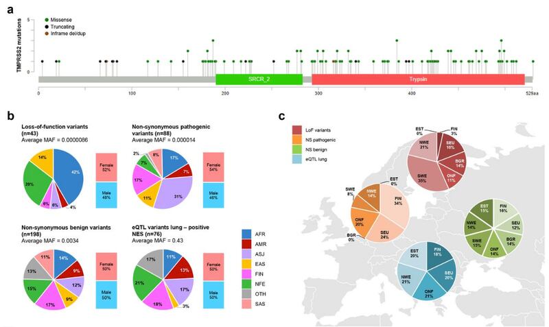 Analisi delle varianti della regione codificante e delle varianti eQTL per il locus TMPRSS2 in diverse popolazioni.