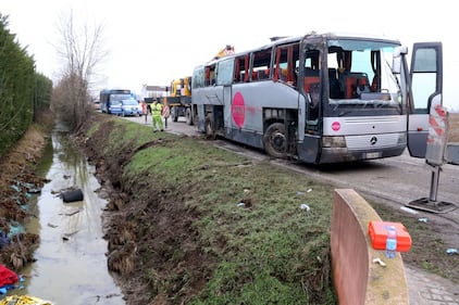 Mantova, scuolabus si ribalta in un fosso: paura per 50 bimbi 11