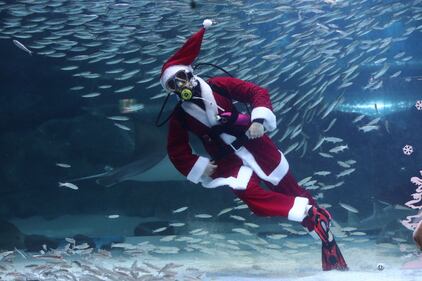 Seul, Babbo Natale sott'acqua tra pesci e sirene 2