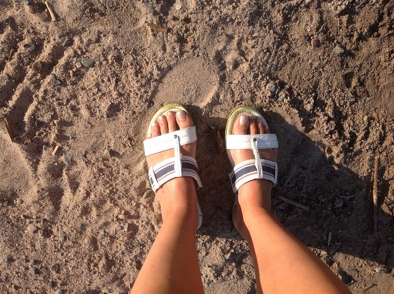 mules