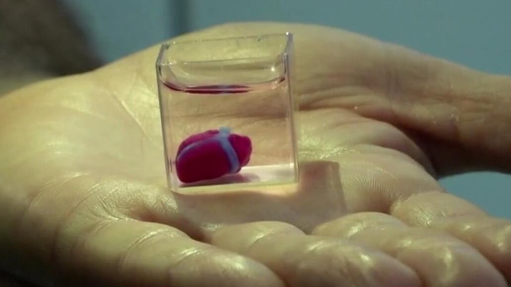 Cuore ricreato con stampante 3D, entusiasmo degli scienziati