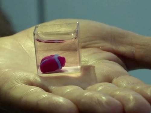 Cuore ricreato con stampante 3D, entusiasmo degli scienziati