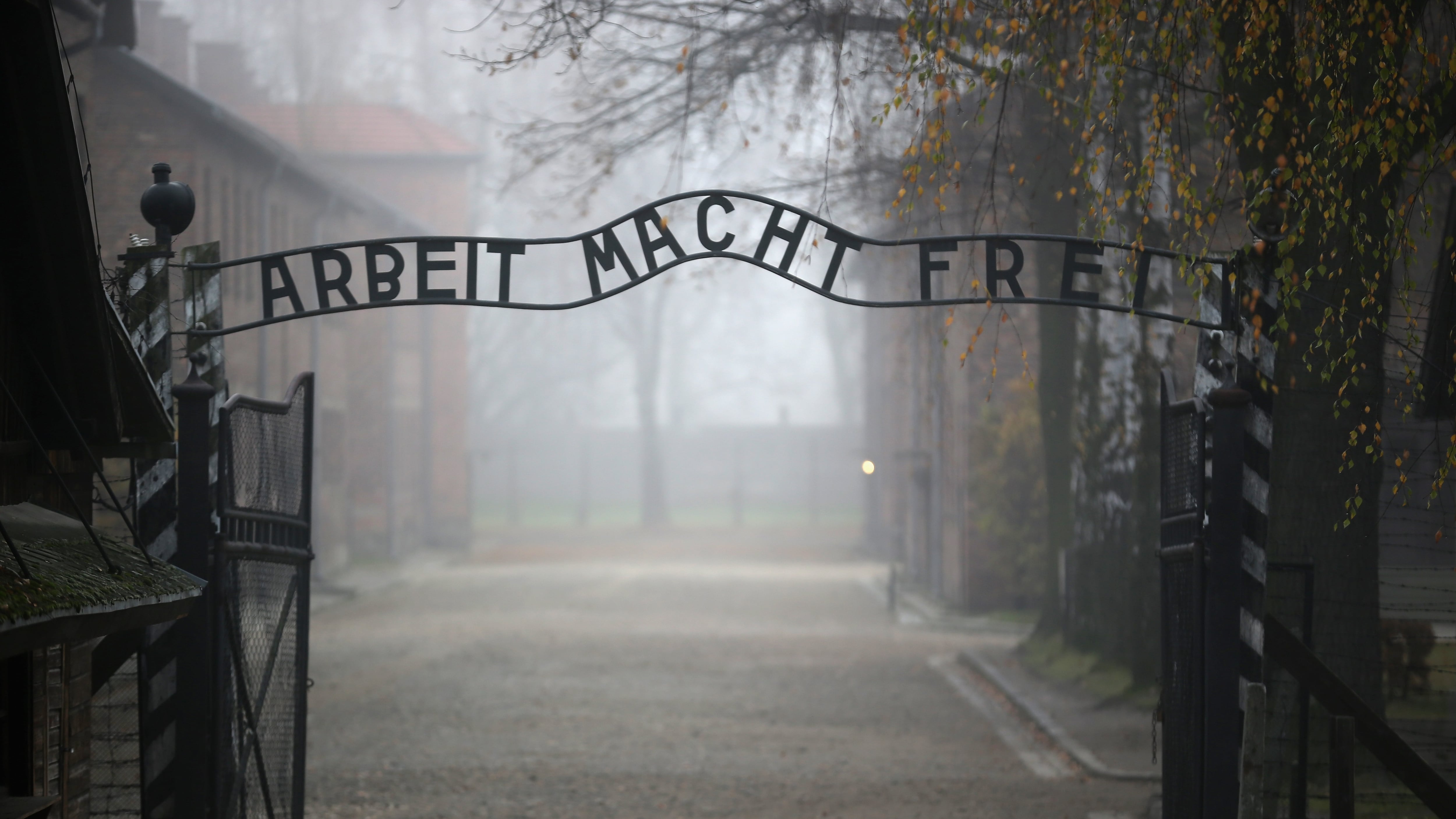 Studente ebreo aggredito a scuola: "Riapriremo i forni di Auschwitz"