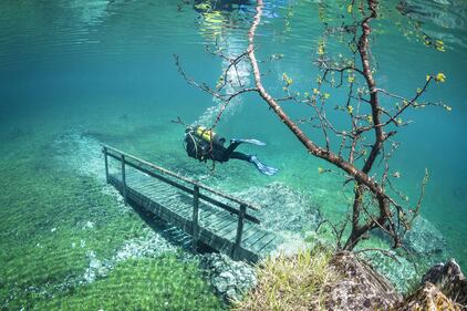 Dall'Austria arriva il mondo subacquo 10