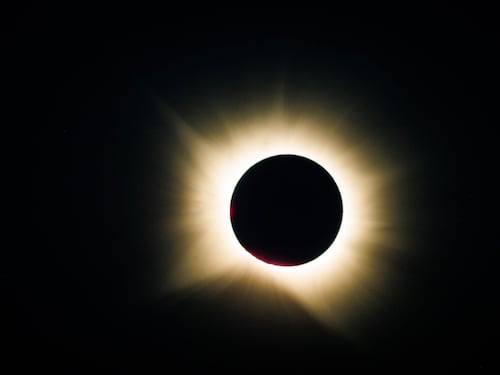 L’eclissi solare ha tenuto milioni di persone con la testa all’insù