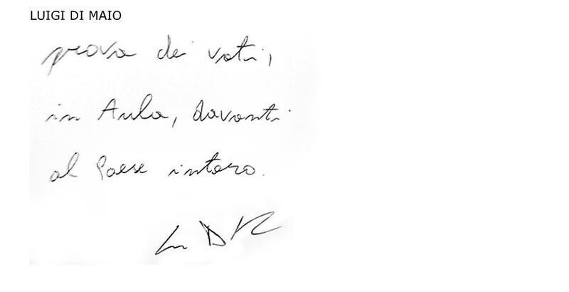 luigi di maio grafia