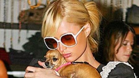 Paris Hilton: "È morta la mia Tinkerbell"