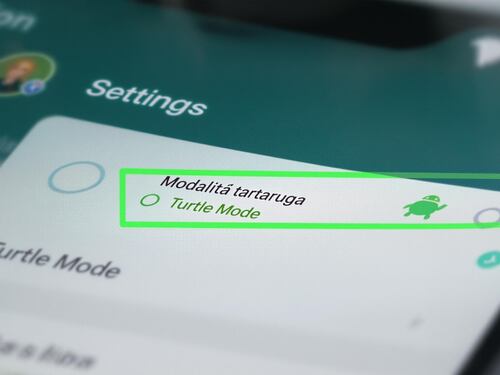 WhatsApp, la bufala sulla "modalità tartaruga": di cosa si tratta