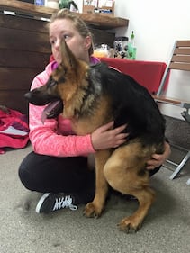 Quasimodo, il cane abbandonato perché malato 3