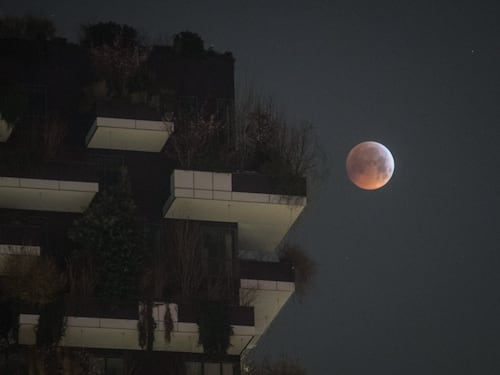 L'eclissi lunare tra i palazzi di Milano