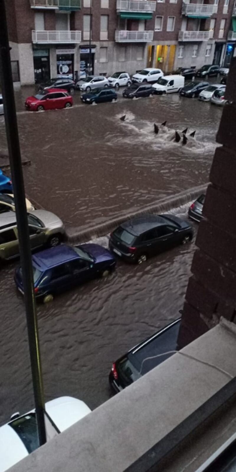 Milano, straripa il fiume Seveso 2