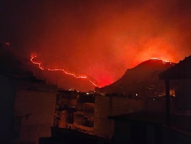 Palermo circondata dal fuoco, chiuso l'aeroporto. I roghi bloccano i soccorsi: muore un'anziana 8