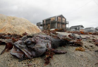 Sandy raggiunge il Massacgusetts 8
