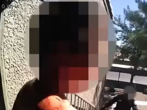 Donna pugnala il figlio, chiamata choc a 911: "Mamma vuole uccidermi"