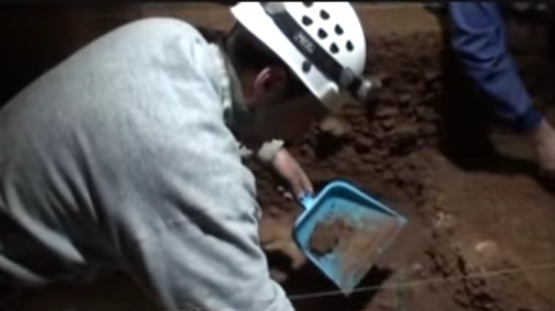 Neanderthal, preziose scoperte a Setubal: dieta e abitudini evolute
