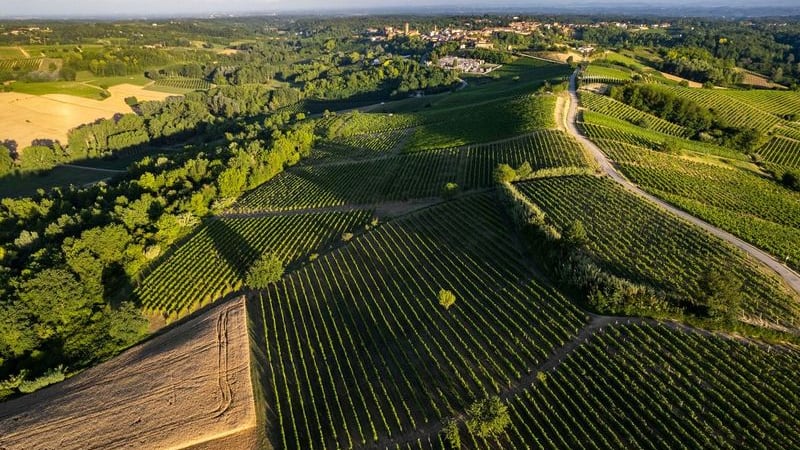 Ruchè, il vino che grida: “Viva il parroco!”