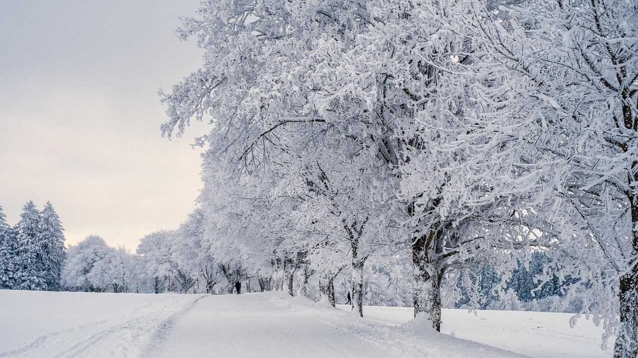 Il ritorno dell’inverno: fino a 7°C in meno, dove farà più freddo