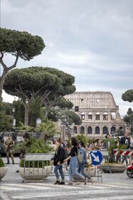 Le meraviglie di Roma: i pini marittimi in città 8