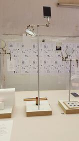 Microfacts, design in miniatura 5