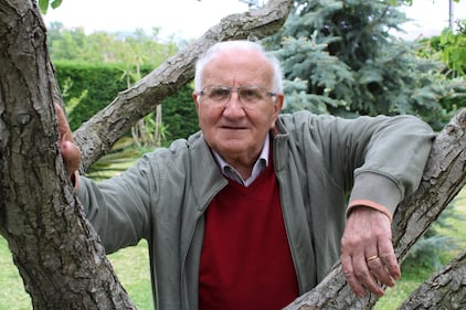 iovotosi
