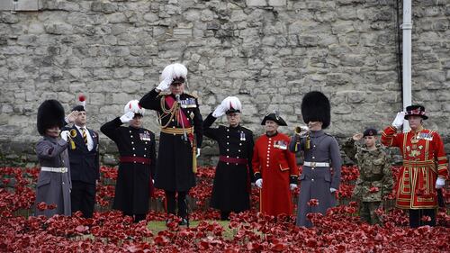 Torre di Londra, il campo di papaveri per l'"Armistice Day" 4