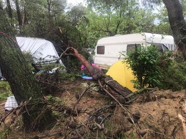Veneto colpito dal maltempo: alberi sradicati in un campeggio 6