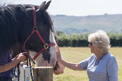 Camilla Parker Bowles, le foto della duchessa 1