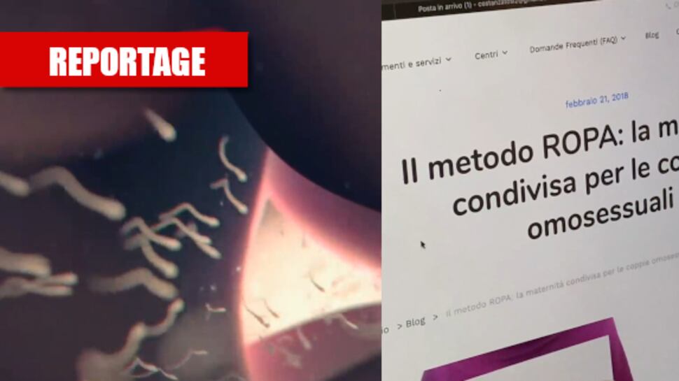Figlio (in provetta) da due ovuli: così le mamme gay si scelgono il bebè