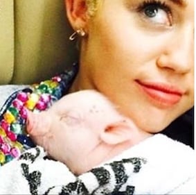 Miley Cyrus, basta con le provocazioni: foto 5
