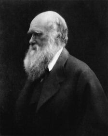 I ritratti di Julia Margaret Cameron 1