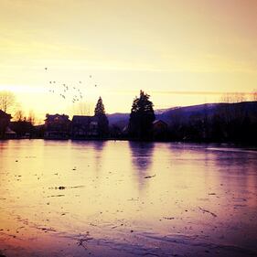 #WakeUpPics: foto delle speranze per il 2013 14