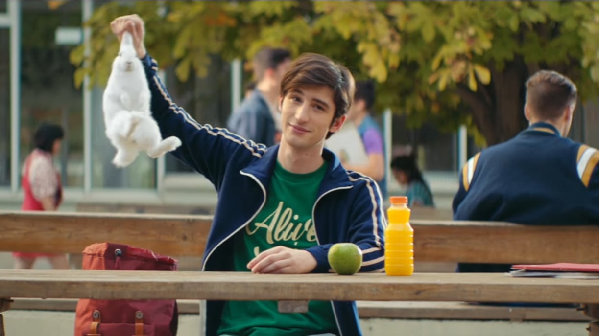Polemica sullo spot: prendere il coniglio per le orecchie è maltrattamento