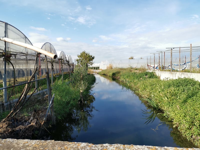 Lungo il corso del fiume Sarno 3
