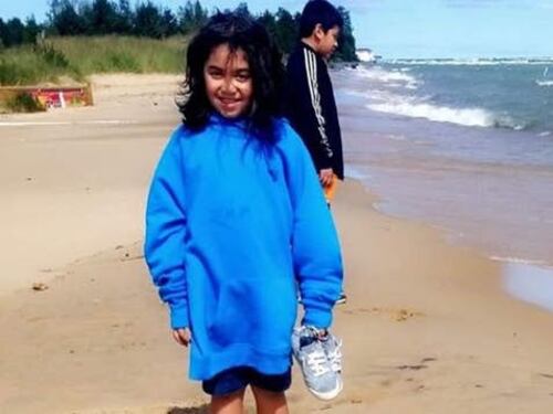 Bambina di 9 anni sbranata da 3 pitbull. Proprietario arrestato