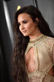 Demi Lovato, sexy trasparenze allo specchio 17