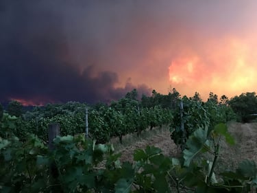 Incendio in Portogallo: 58 morti 14