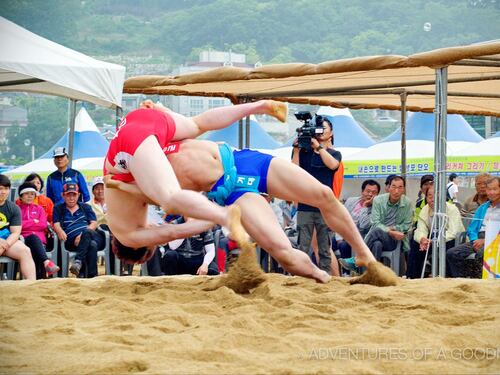 Le Coree fanno il wrestling patrimonio mondiale