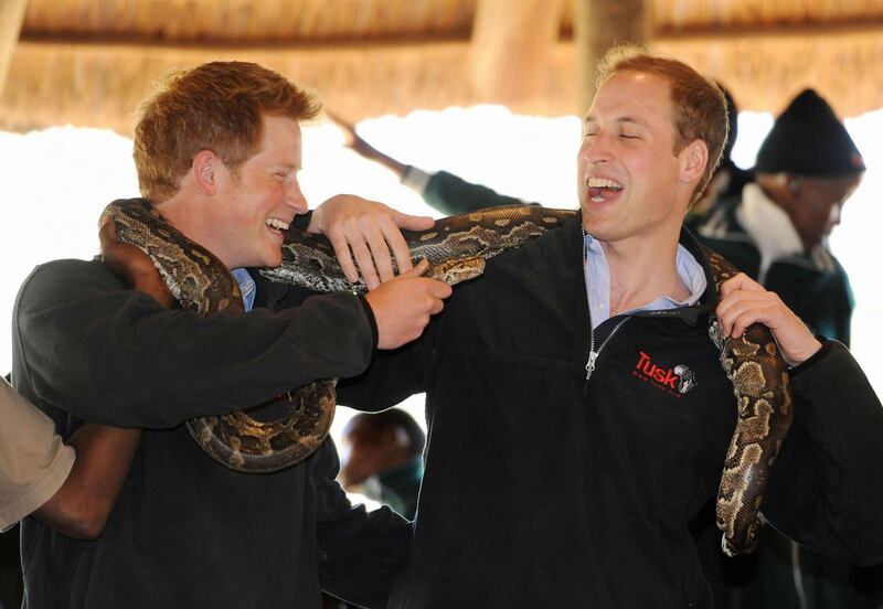 Il Principe William e il Principe Harry, foto 10