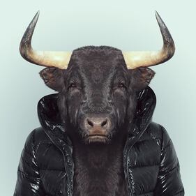 Avete mai visto animali vestiti da esseri umani? 13