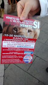 Veneto, la marcia indipendentista 6