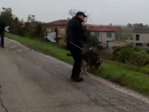 Omicidio Samira: nuove tracce da parte dei cani molecolari