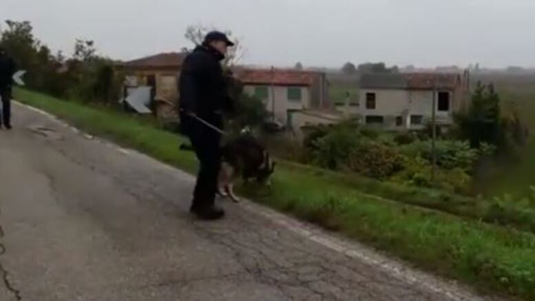 Omicidio Samira: nuove tracce da parte dei cani molecolari