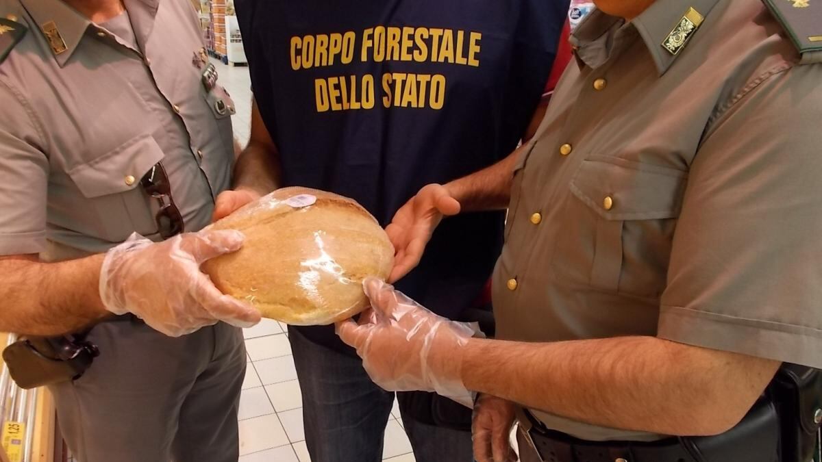 Altro che tagli, in arrivo altri 400 forestali