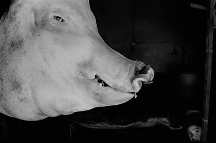 Emerging Photographer Exhibition Contest, i finalisti 5