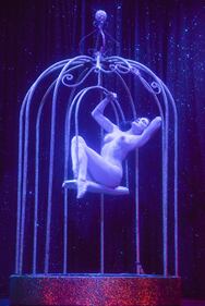 Dita Von Teese, burlesque che fa impazzire 2