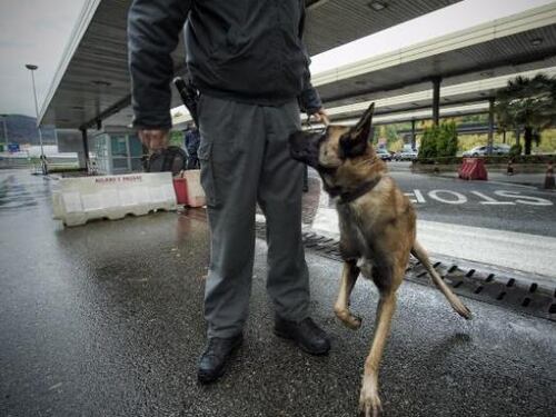 Cani antidroga in azione: ingenti sequestri ai confini