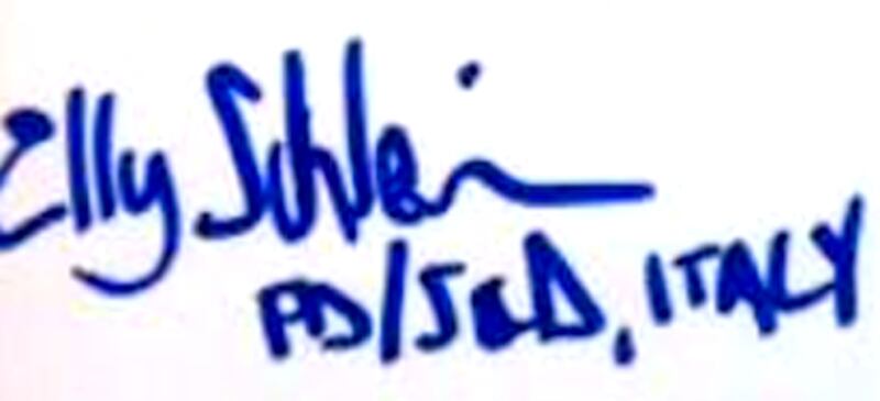 Schlein firma