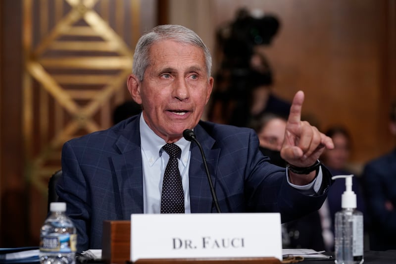 Fauci verso lo scontro giudiziario: il Senato Usa lo dichiara colpevole di oltraggio al Congresso