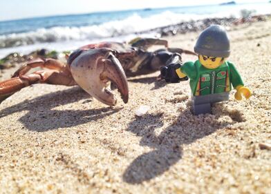Il mini fotografo e gli scatti d'autore: il Legography di Andrew White 14
